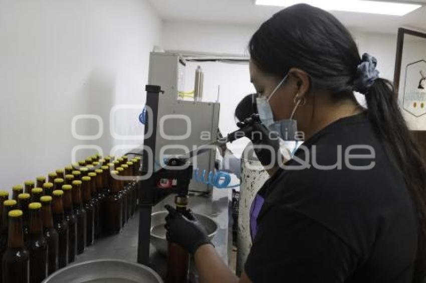 CERVEZA TEMPORADA DE MUERTOS