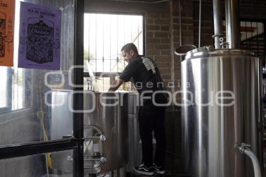 CERVEZA TEMPORADA DE MUERTOS