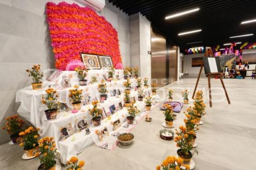 CONGRESO . OFRENDA DE MASCOTAS