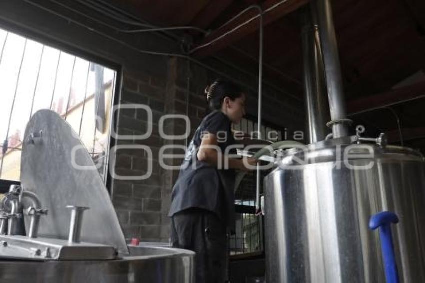 CERVEZA TEMPORADA DE MUERTOS