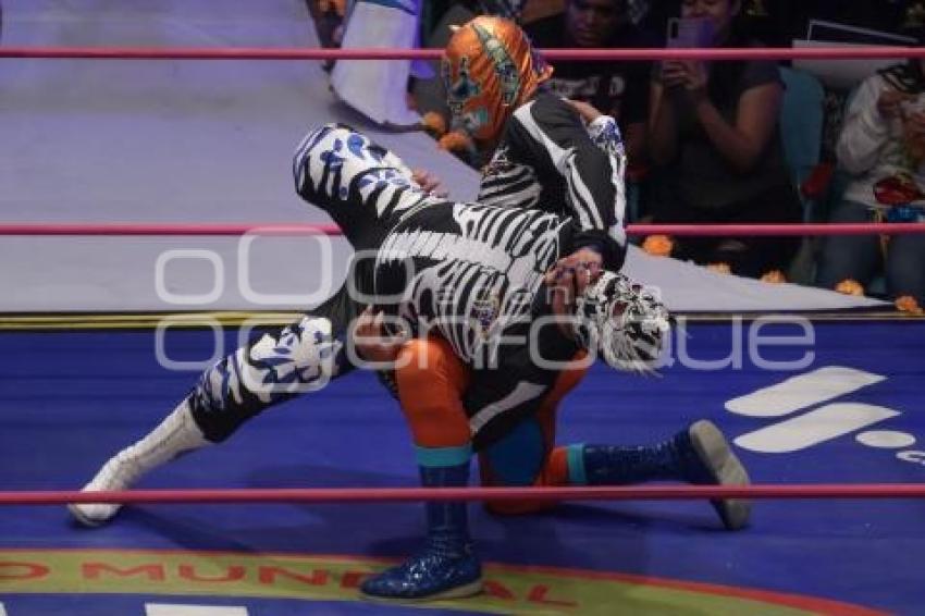 LUCHA LIBRE