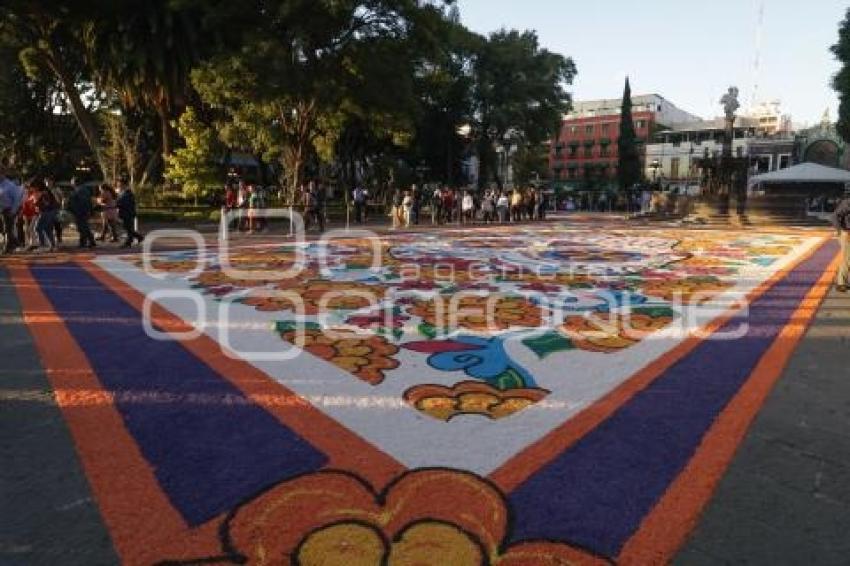 ZÓCALO . ALFOMBRA MONUMENTAL