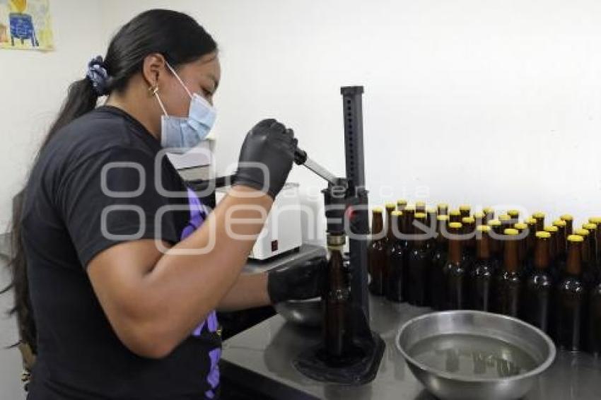 CERVEZA TEMPORADA DE MUERTOS