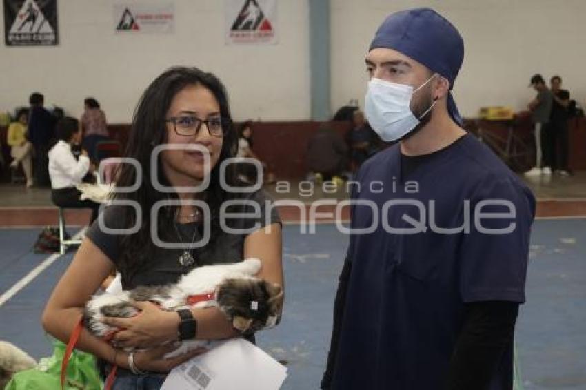 SAN ANDRÉS CHOLULA . JORNADA DE ESTERILIZACIÓN