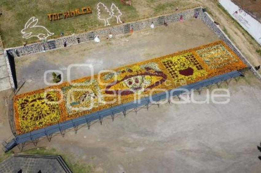 TOCHIMILCO . TAPETE MONUMENTAL