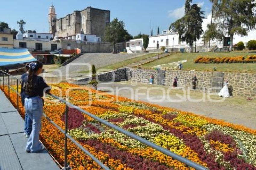 TOCHIMILCO . TAPETE MONUMENTAL