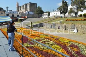 TOCHIMILCO . TAPETE MONUMENTAL