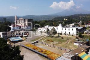 TOCHIMILCO . TAPETE MONUMENTAL