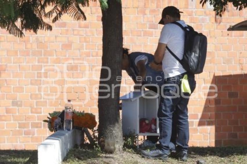 DÍA DE MUERTOS . ACCIDENTADOS