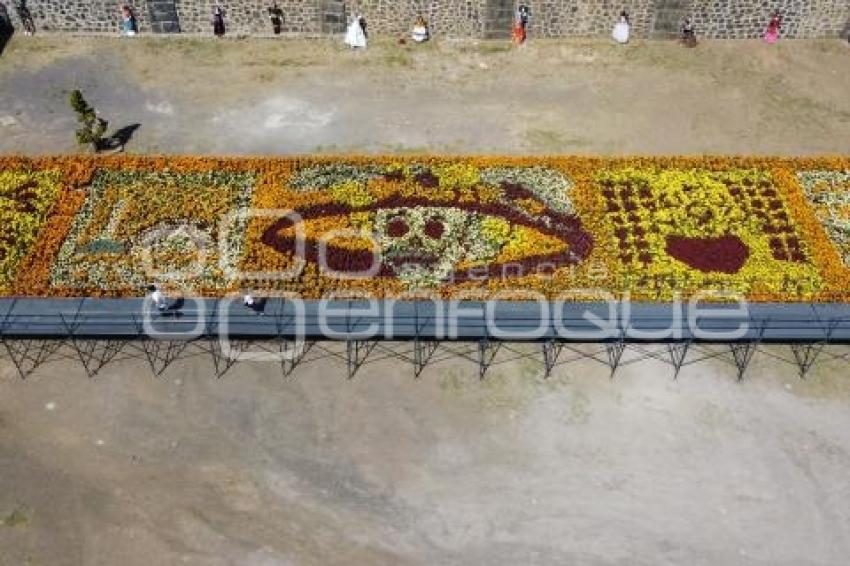 TOCHIMILCO . TAPETE MONUMENTAL