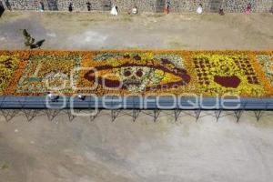 TOCHIMILCO . TAPETE MONUMENTAL