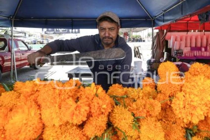DÍA DE MUERTOS . MERCADO