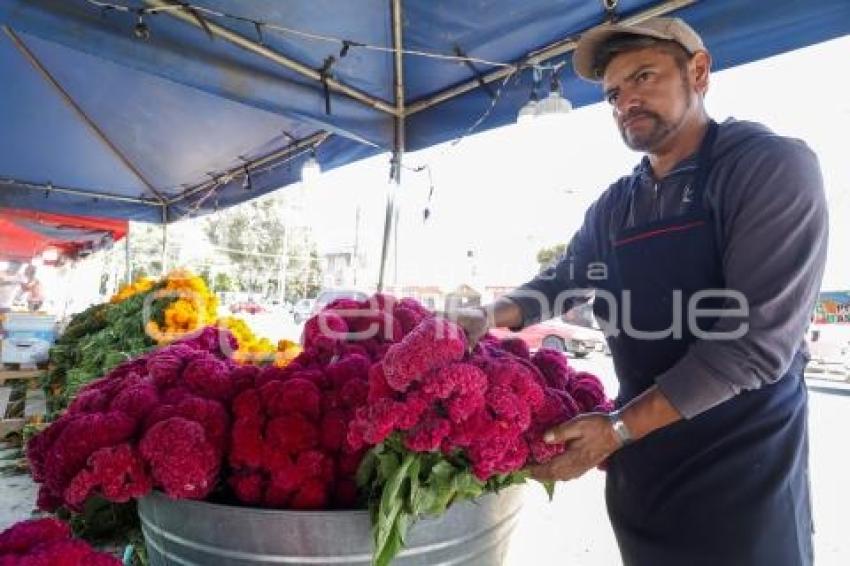 DÍA DE MUERTOS . MERCADO