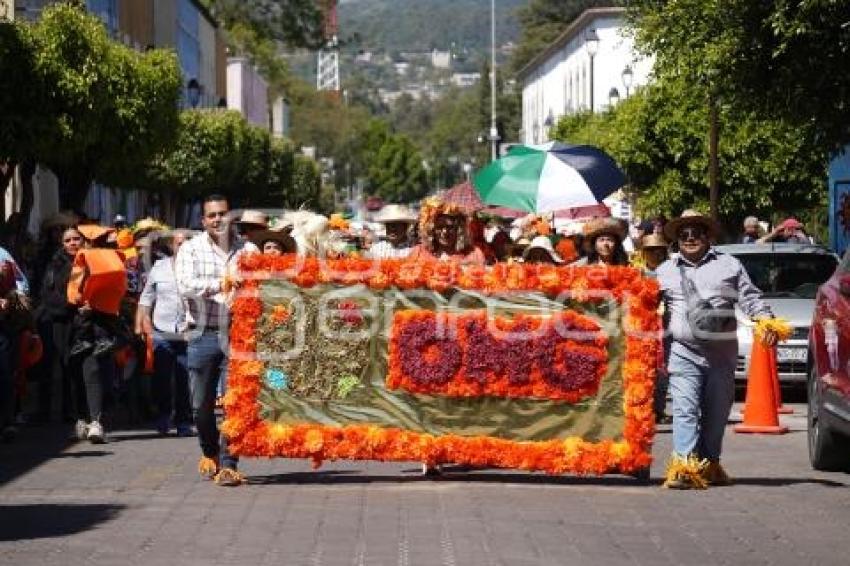 TLAXCALA . DESFILE DE CALABACITAS