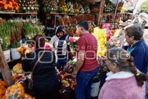 PANTEÓN . DÍA DE MUERTOS