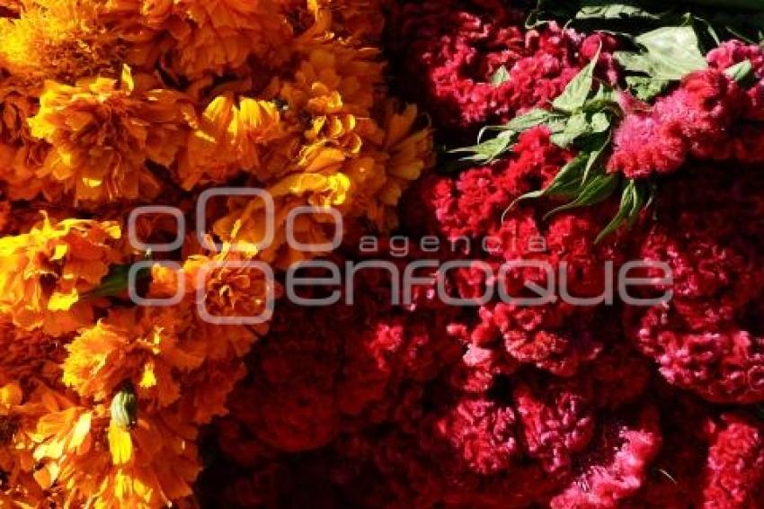 PANTEÓN . DÍA DE MUERTOS