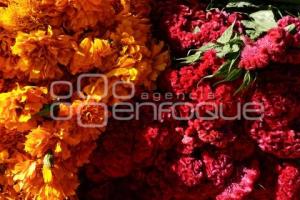 PANTEÓN . DÍA DE MUERTOS