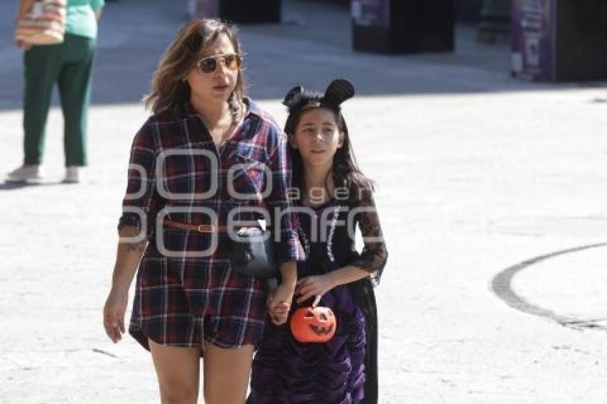 ZÓCALO . CALAVERITA