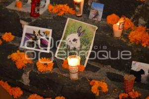 ATLIXCO . OFRENDA MASCOTAS