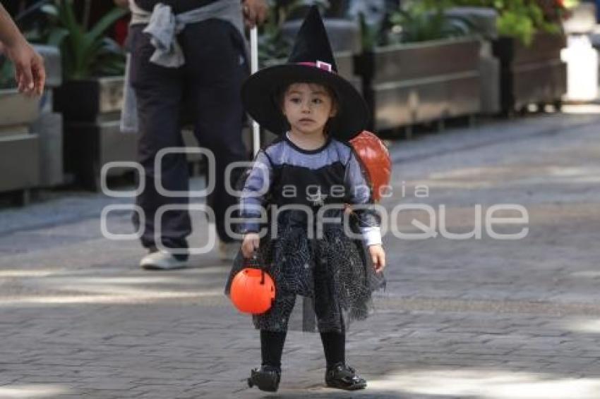 ZÓCALO . CALAVERITA