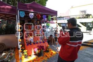 LOS SAPOS . OFRENDAS