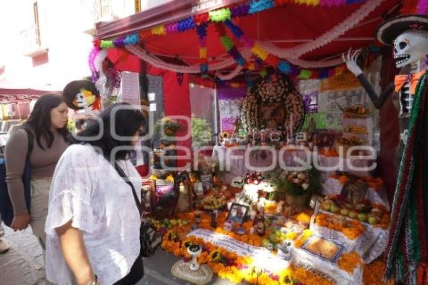 LOS SAPOS . OFRENDAS