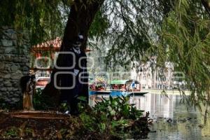 HACIENDA CHAUTLA . CATRINAS