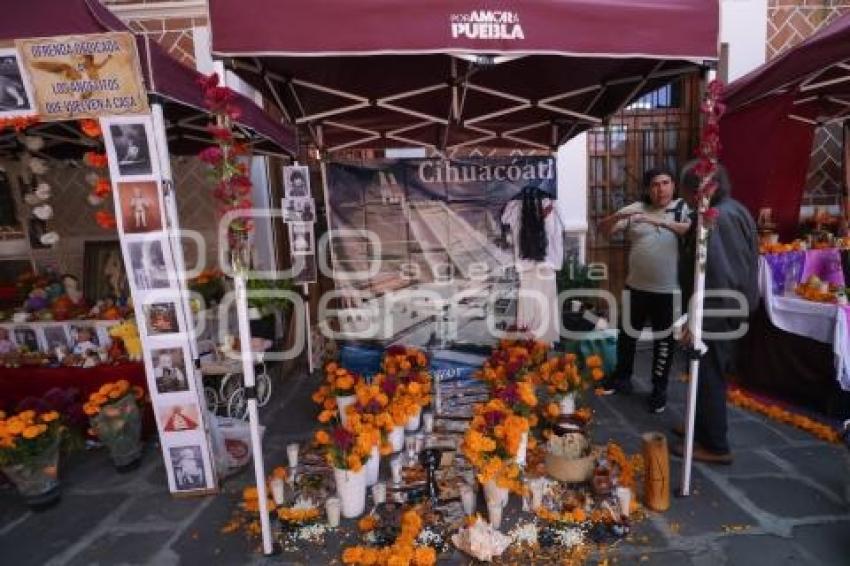 LOS SAPOS . OFRENDAS