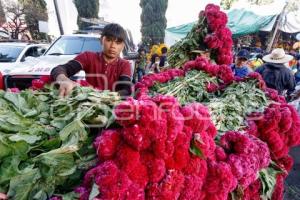 PANTEÓN . DÍA DE MUERTOS