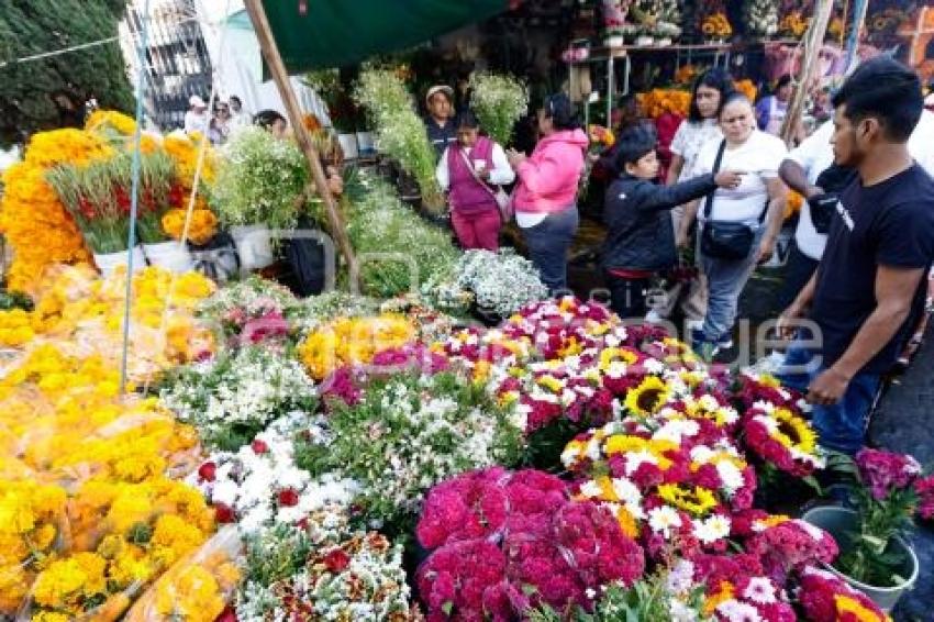 PANTEÓN . DÍA DE MUERTOS