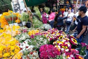 PANTEÓN . DÍA DE MUERTOS