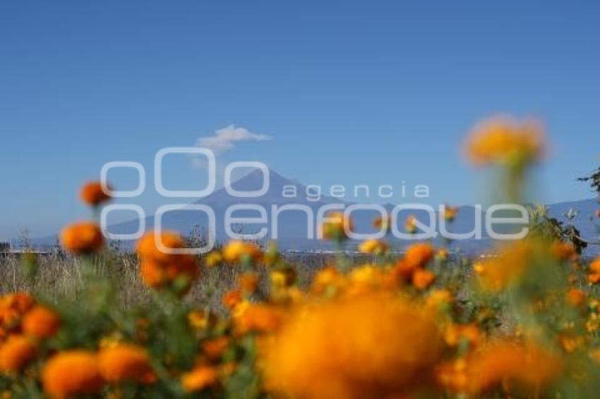 TLAXCALA . VOLCÁN POPOCATÉPETL
