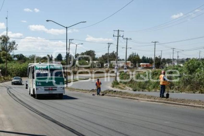OBRA CAMINO AL BATÁN
