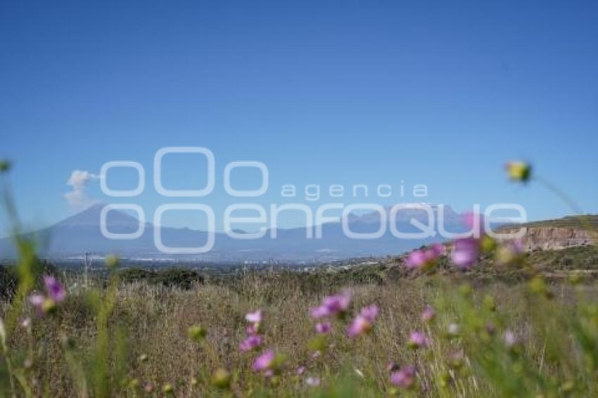 TLAXCALA . VOLCÁN POPOCATÉPETL