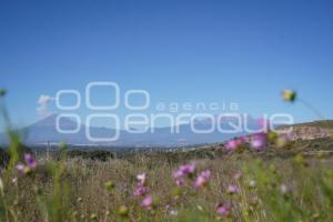 TLAXCALA . VOLCÁN POPOCATÉPETL