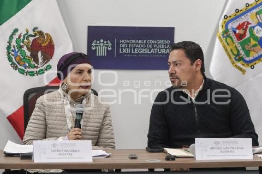 CONGRESO . COMISIÓN DE SEGURIDAD