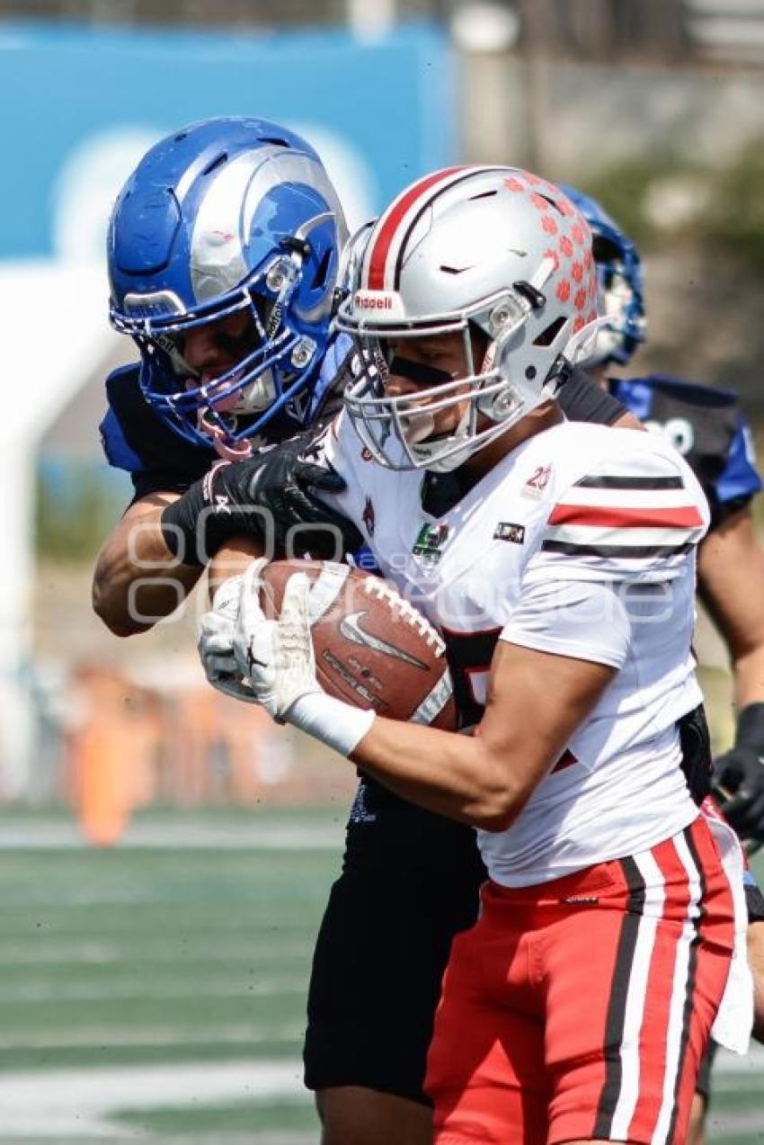 FÚTBOL AMERICANO . BORREGOS VS LINCES
