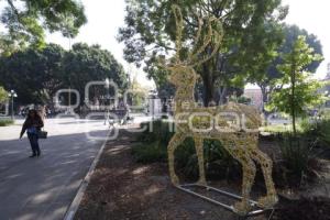 AYUNTAMIENTO . ADORNOS NAVIDEÑOS