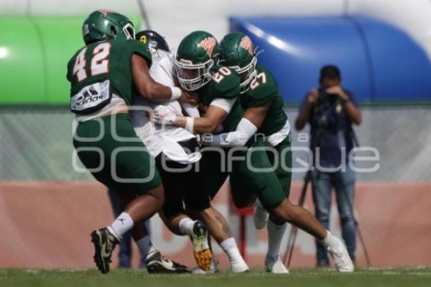 FÚTBOL AMERICANO . AZTECAS UDLAP VS ZORROS