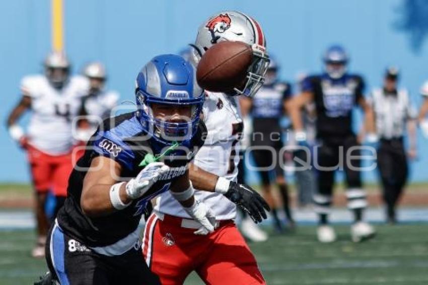 FÚTBOL AMERICANO . BORREGOS VS LINCES