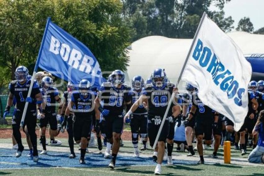 FÚTBOL AMERICANO . BORREGOS VS LINCES