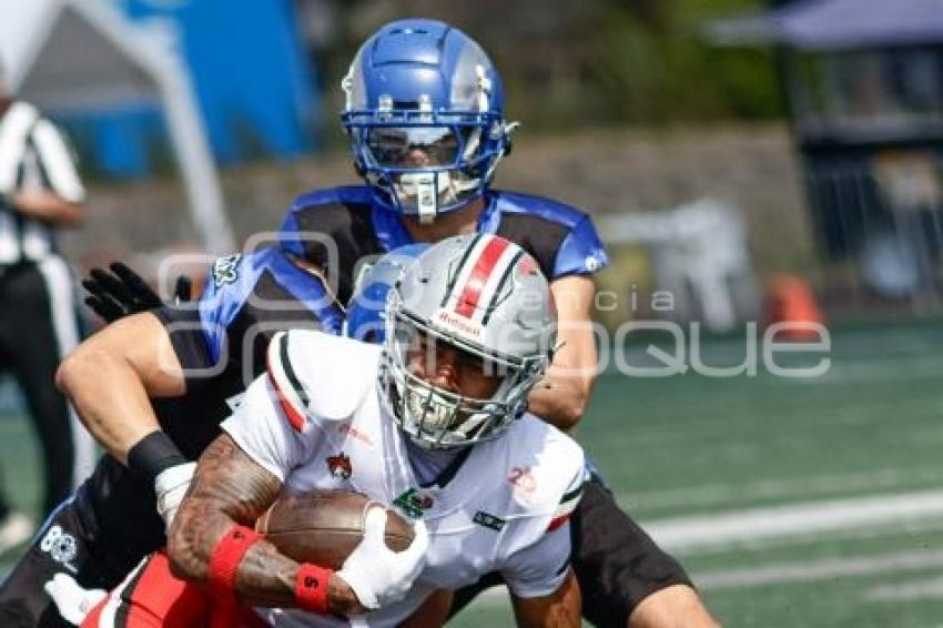 FÚTBOL AMERICANO . BORREGOS VS LINCES