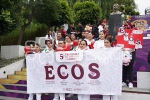 TLAXCALA . CAMINATA NACIONAL ECOS