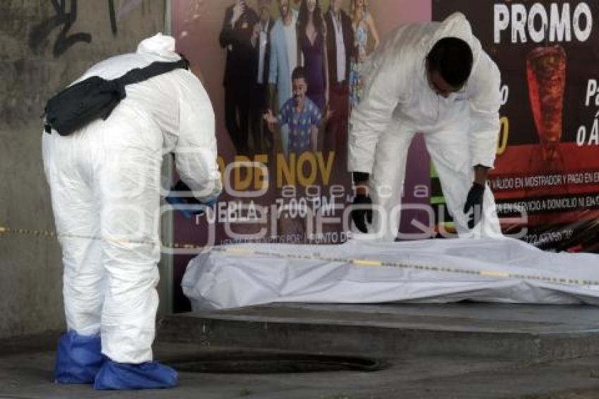 NOTA ROJA . ALCANTARILLA