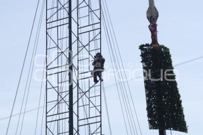 CCU . ÁRBOL DE NAVIDAD