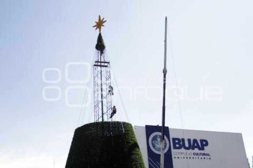 CCU . ÁRBOL DE NAVIDAD