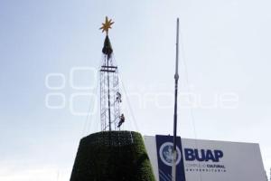 CCU . ÁRBOL DE NAVIDAD