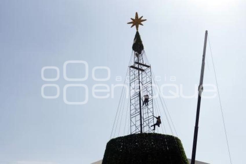 CCU . ÁRBOL DE NAVIDAD