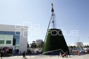 CCU . ÁRBOL DE NAVIDAD