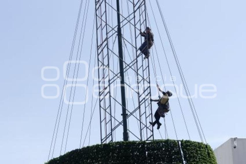 CCU . ÁRBOL DE NAVIDAD